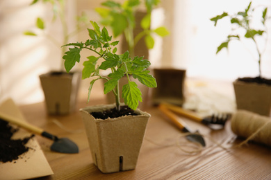 Photo of Green tomato seedling in peat pot on wooden table