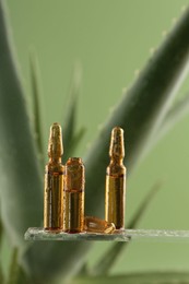 Photo of Wet skincare ampoules near aloe vera on light green background, closeup