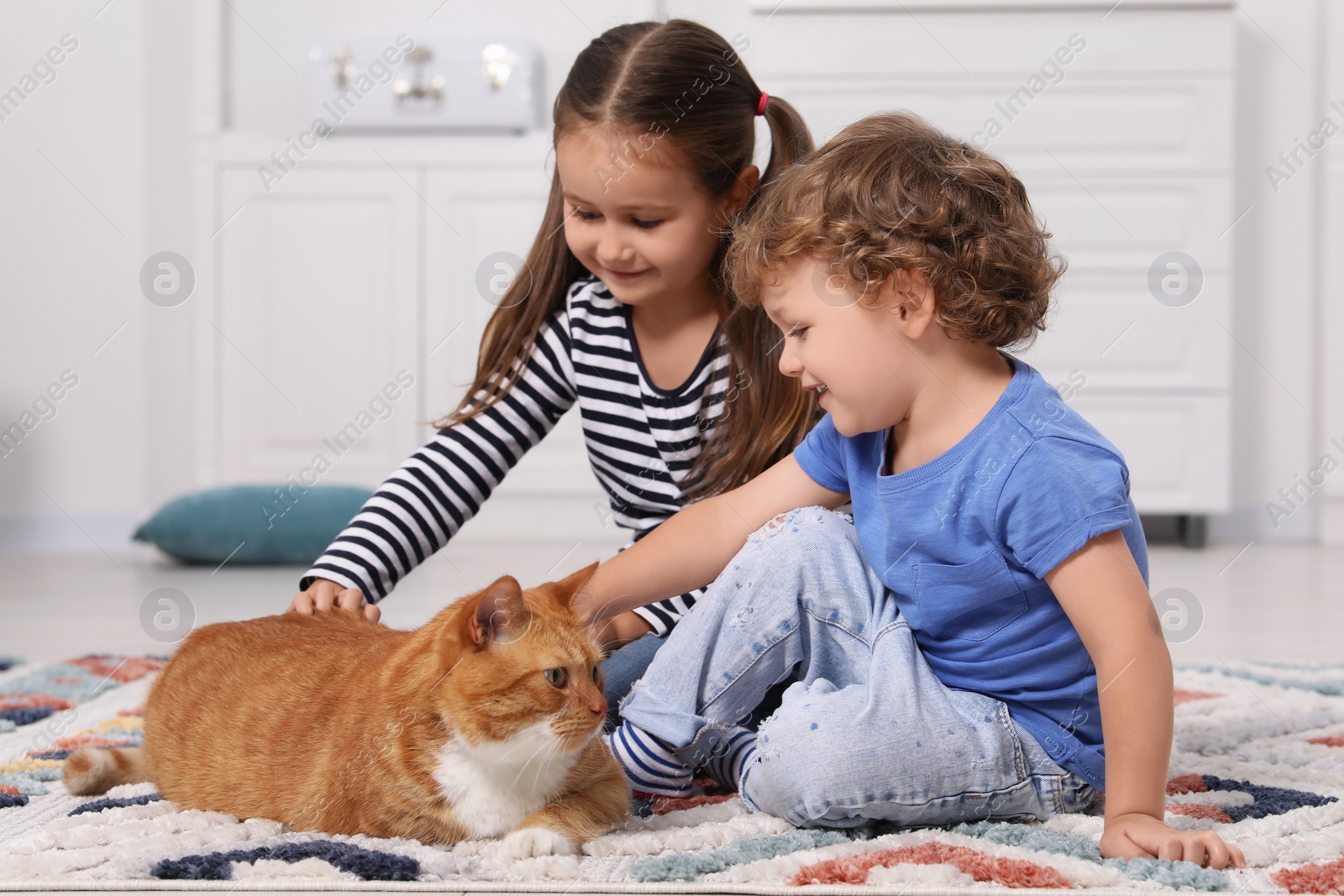 Photo of Little children petting cute ginger cat on carpet at home