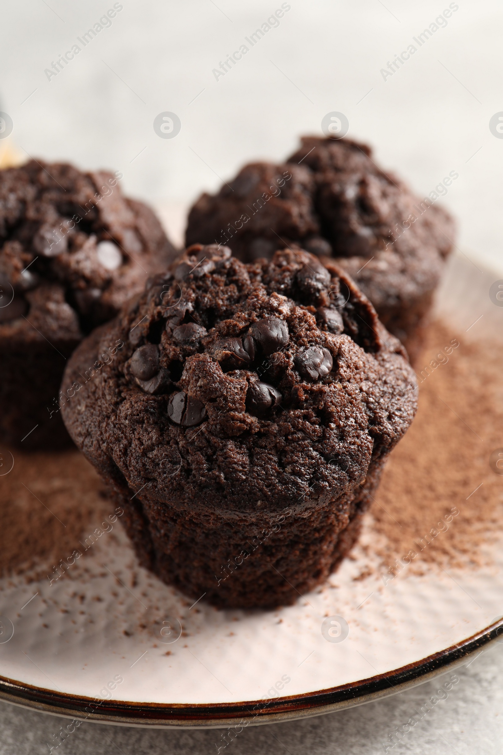 Photo of Delicious chocolate muffins and cacao powder on light grey table, closeup