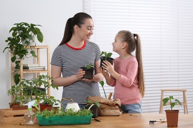 Photo of Planting seedlings. Mother and daughter with different plants in room