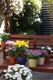 Photo of Many different beautiful blooming plants and wooden bench outdoors