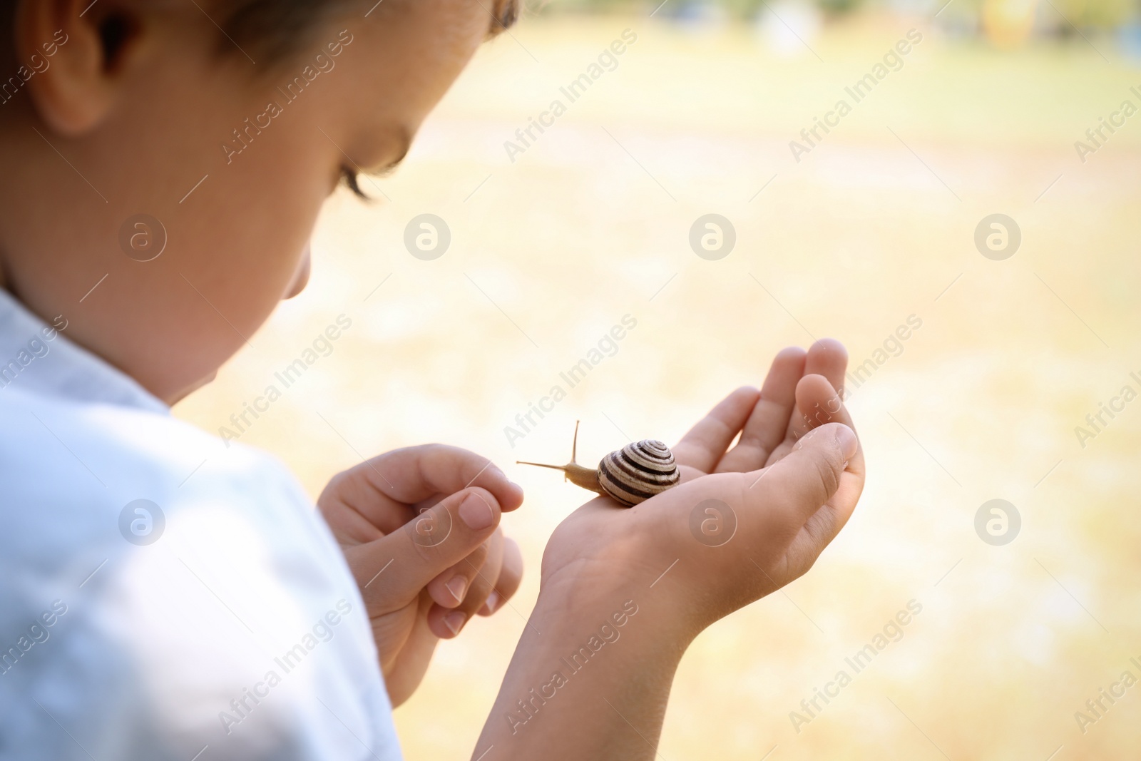 Photo of Boy playing with cute snail outdoors, closeup. Child spending time in nature