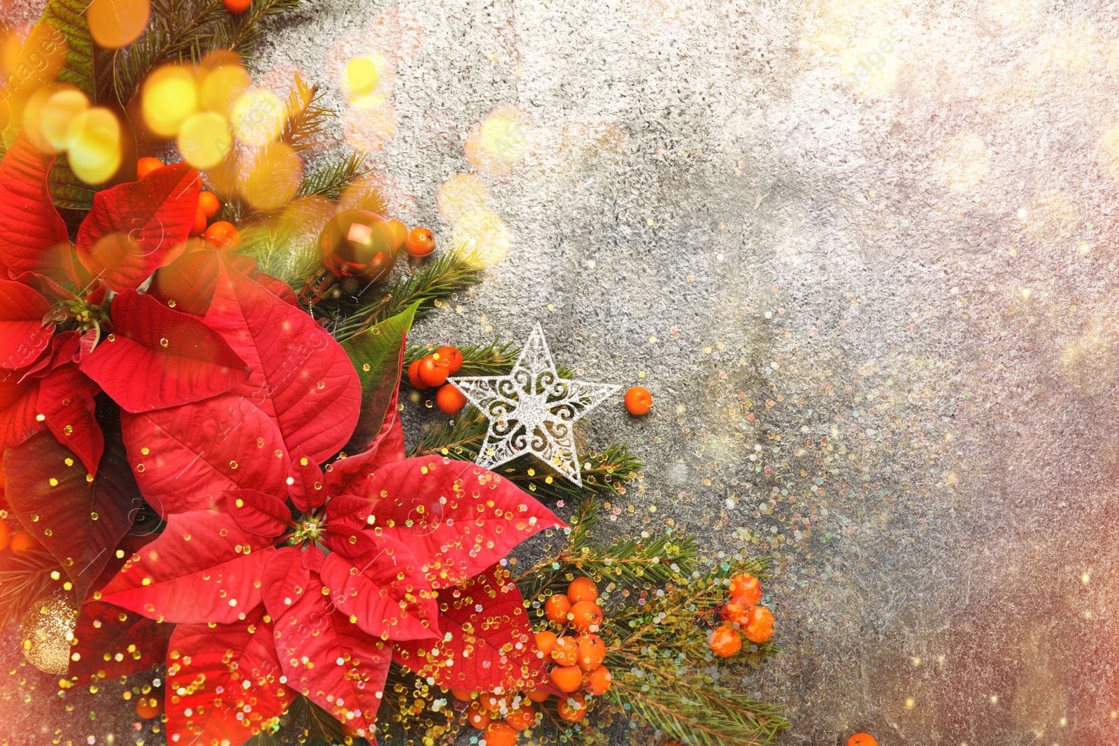 Image of Flat lay composition with traditional Christmas poinsettia flowers and space for text on grey table, bokeh effect