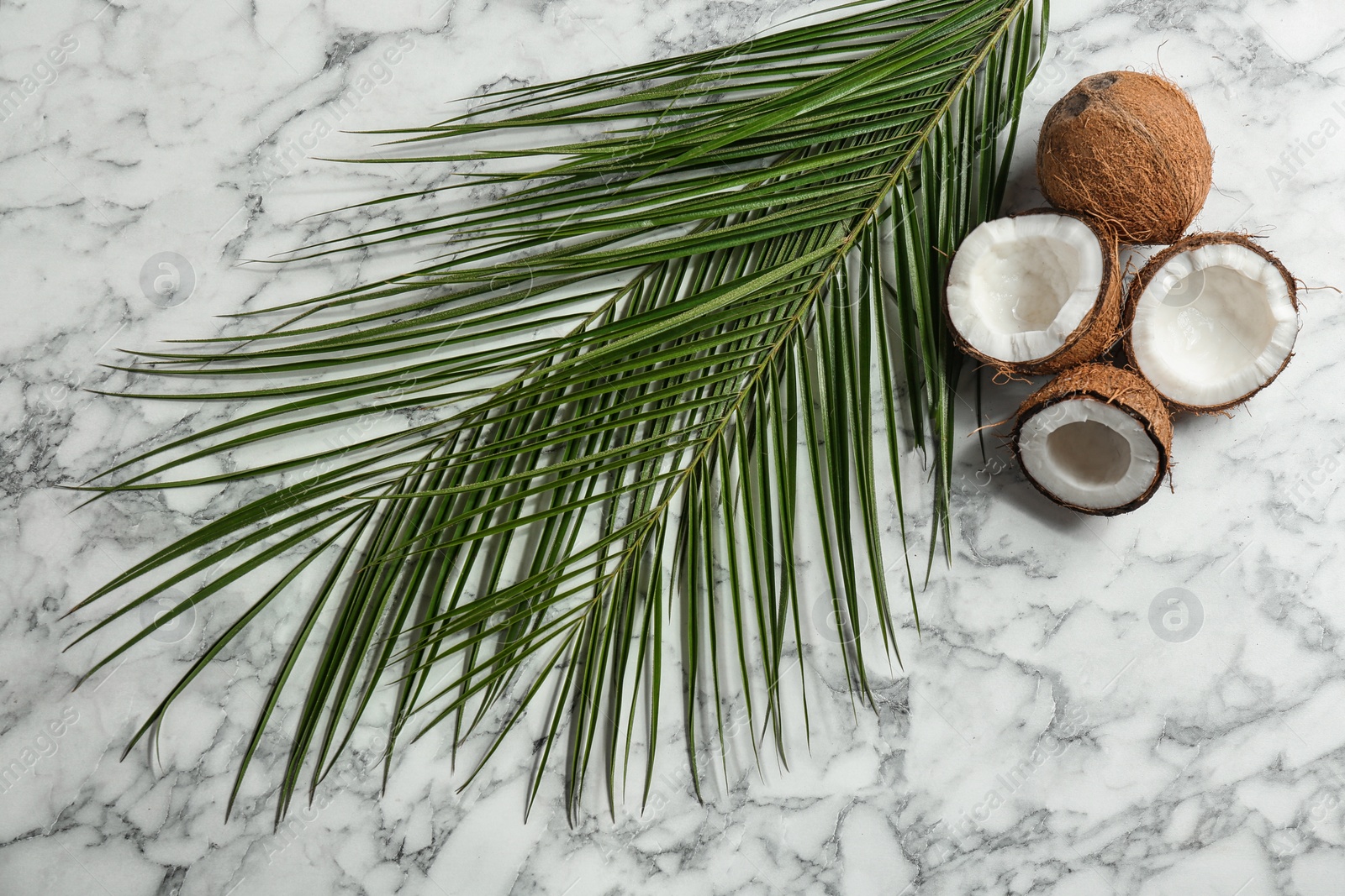 Photo of Flat lay composition with coconuts and palm leaf on marble table. Space for text