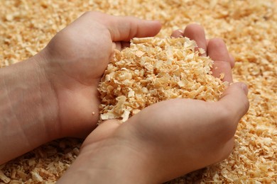 Photo of Woman holding dry natural sawdust, closeup view