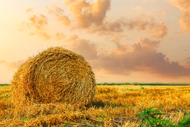 Image of Hay bale in golden field at sunset. Space for text