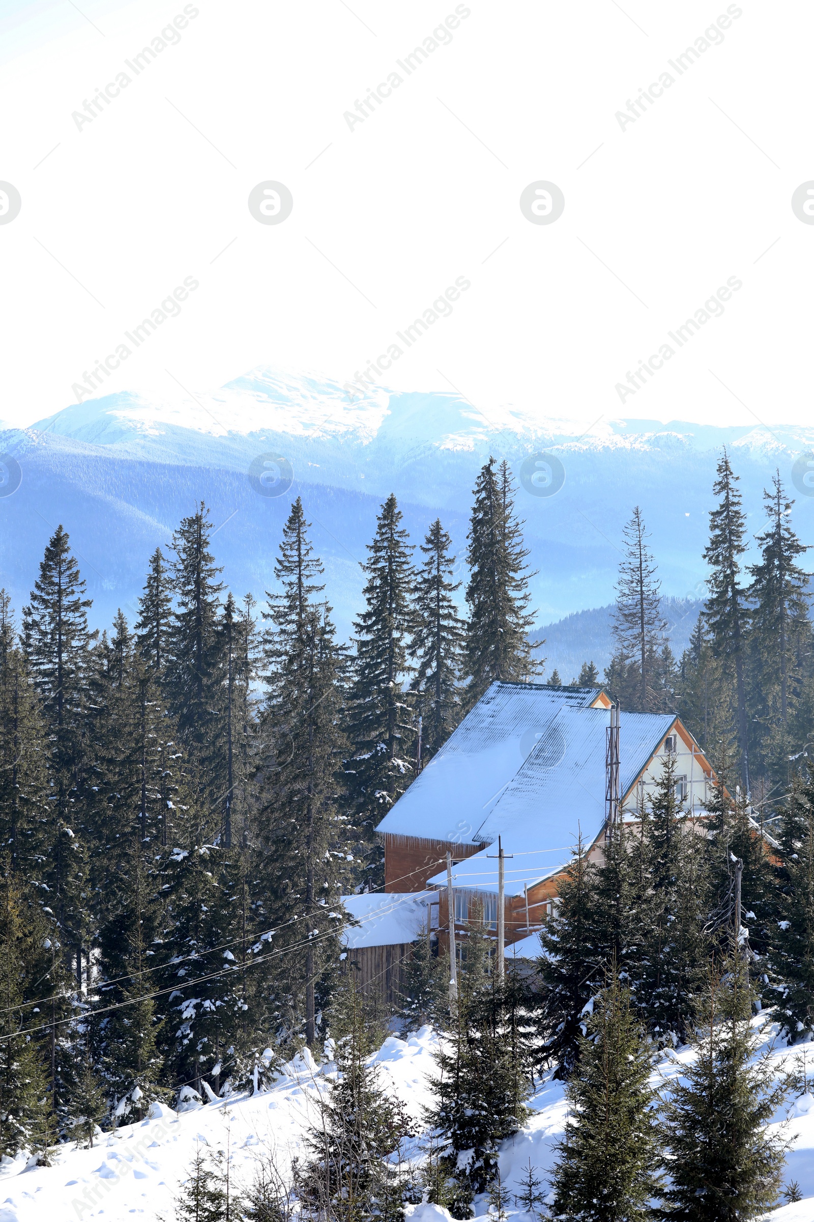 Photo of Picturesque view of snowy forest and cottage. Wintertime