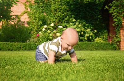 Photo of Adorable little baby crawling on green grass outdoors