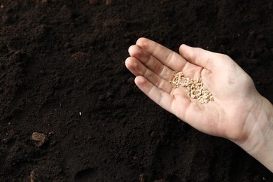 Photo of Woman holding pile of tomato seeds over soil, above view with space for text. Vegetable planting