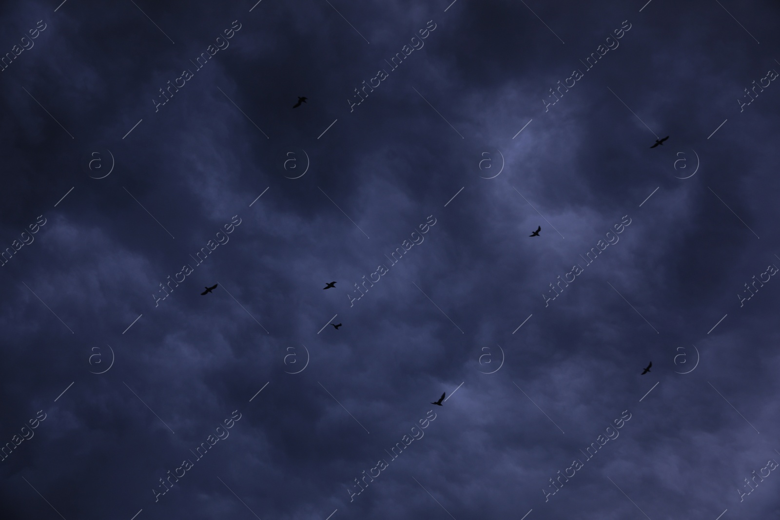 Photo of Picturesque view of birds in sky with heavy rainy clouds