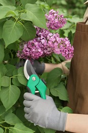 Gardener pruning lilac branch with secateurs outdoors, closeup