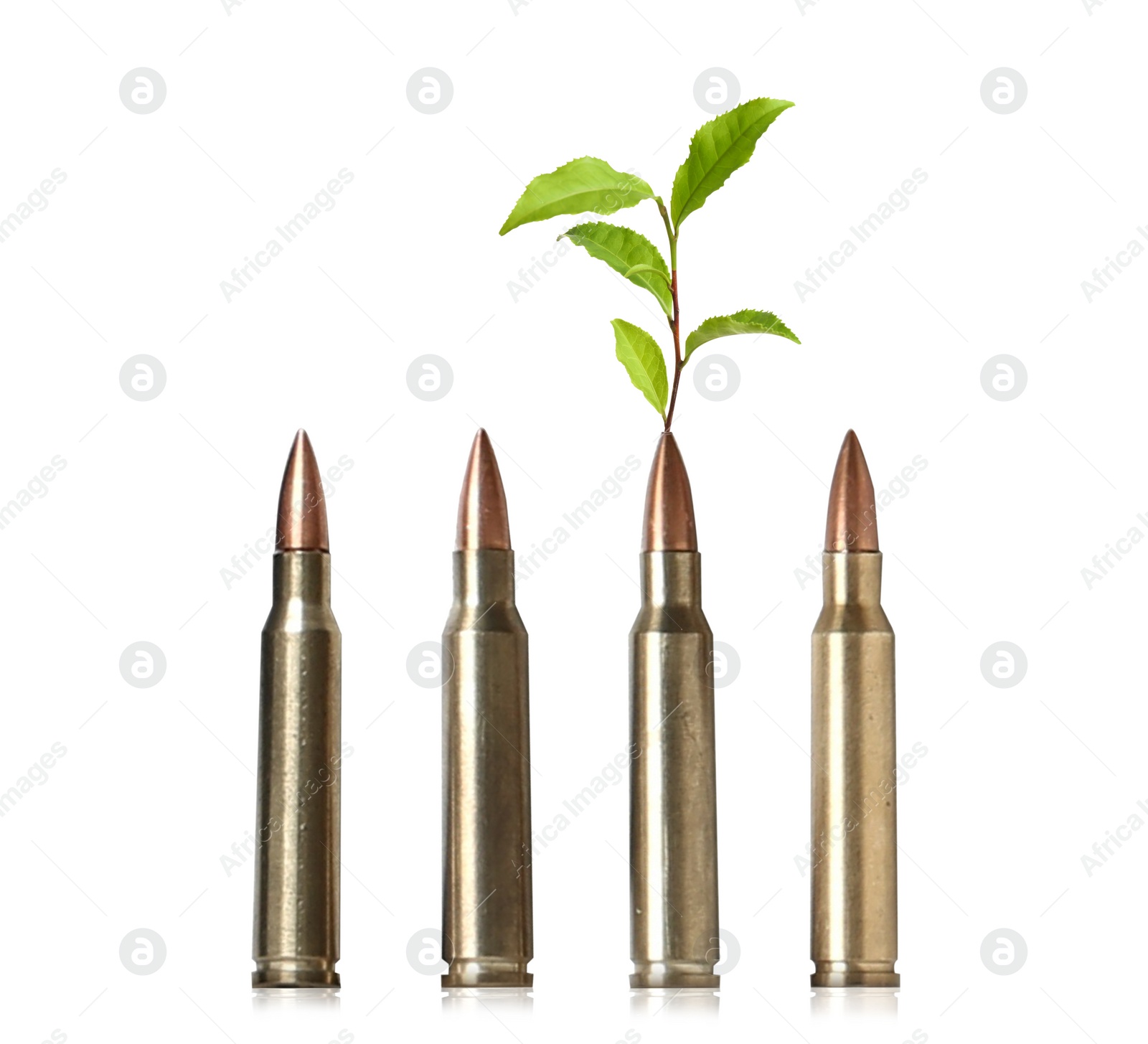 Image of Branch with green leaves and bullets on white background. Peace instead of war