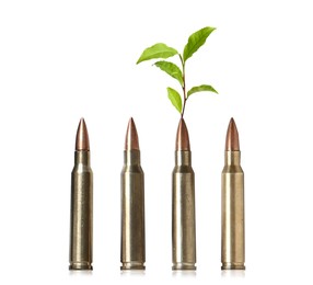 Image of Branch with green leaves and bullets on white background. Peace instead of war