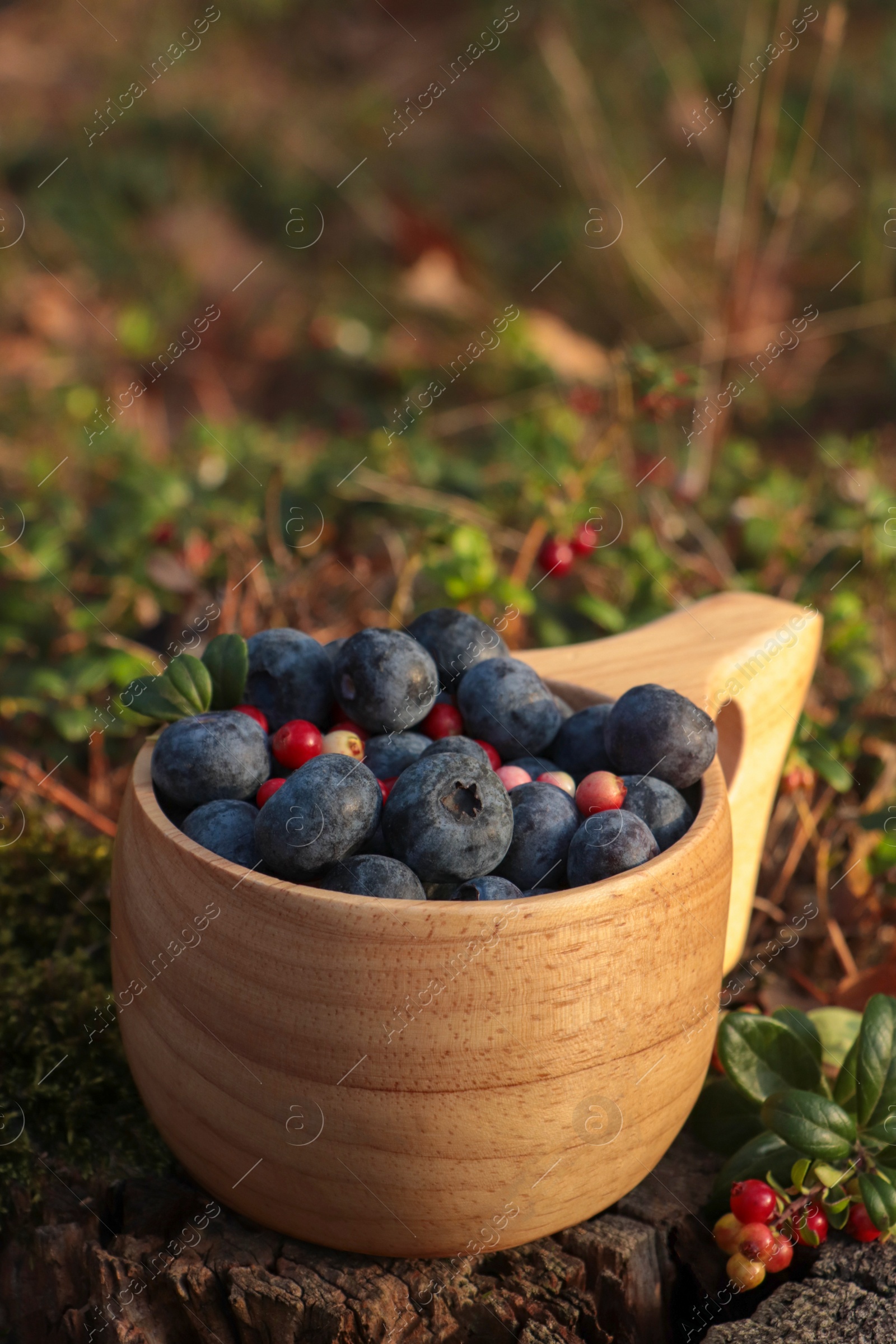 Photo of Wooden mug full of fresh ripe blueberries and lingonberries on grass, closeup