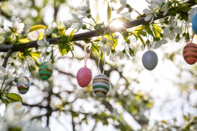 Photo of Beautifully painted Easter eggs hanging on blooming tree outdoors