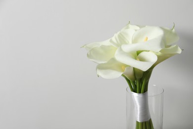 Photo of Beautiful calla lily flowers in glass vase on white background. Space for text