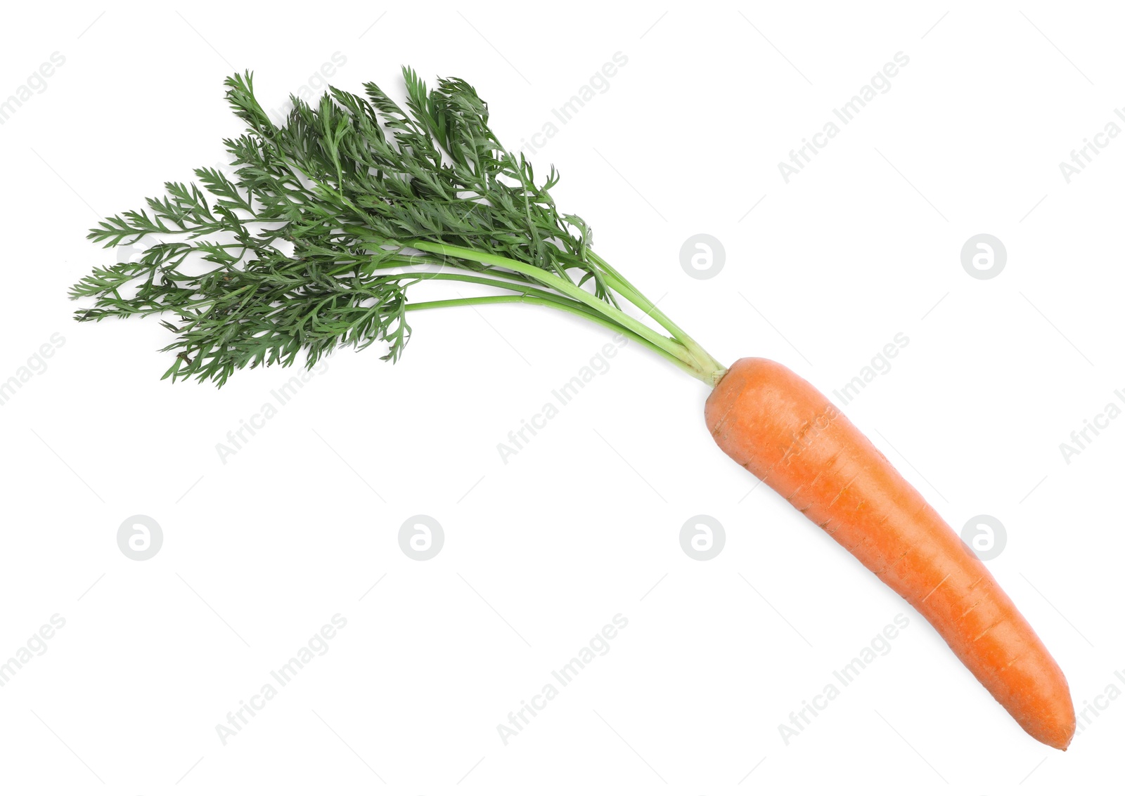 Photo of Tasty ripe organic carrot isolated on white, top view
