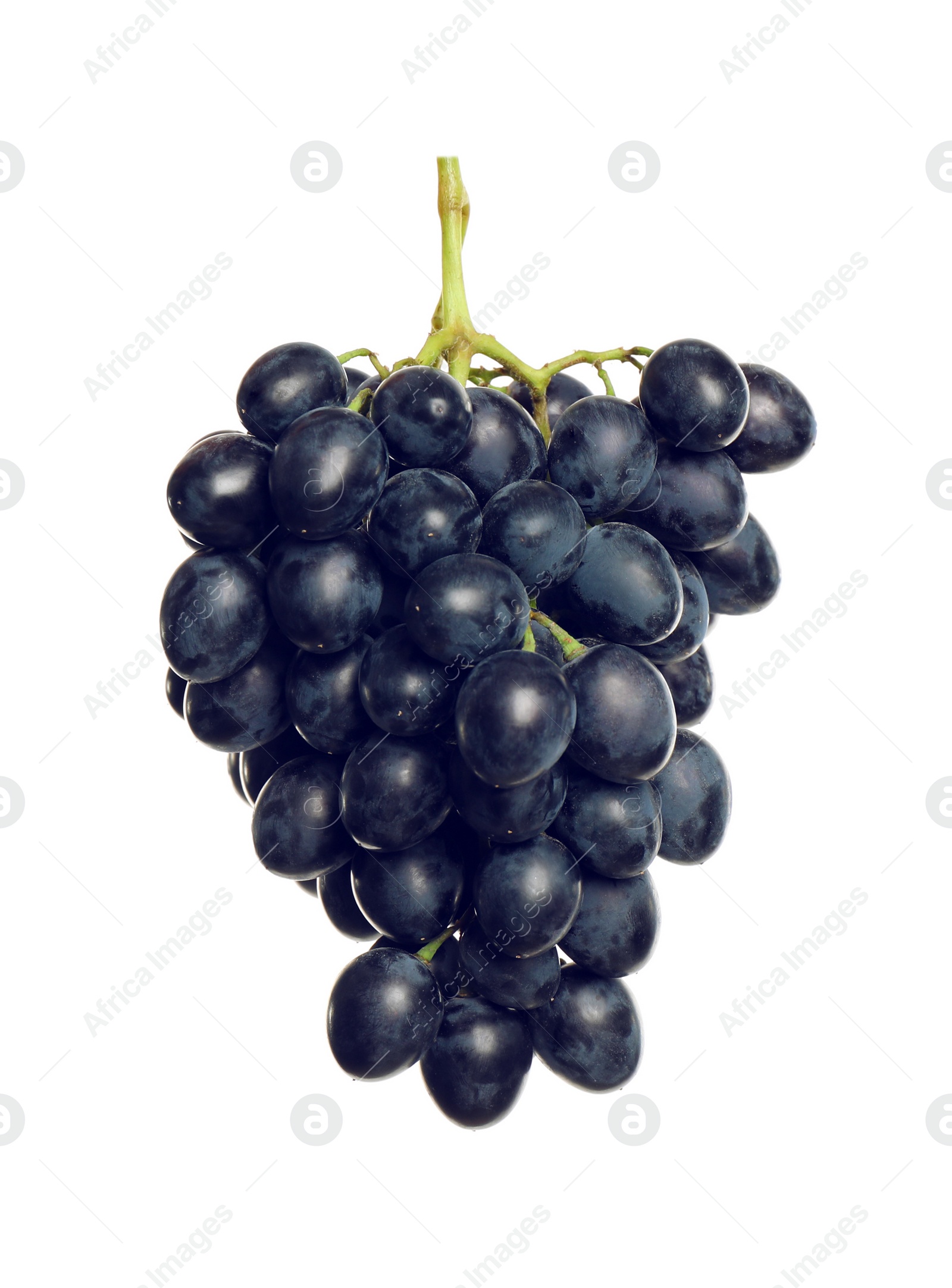 Photo of Bunch of fresh ripe juicy dark blue grapes isolated on white