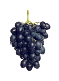 Bunch of fresh ripe juicy dark blue grapes isolated on white