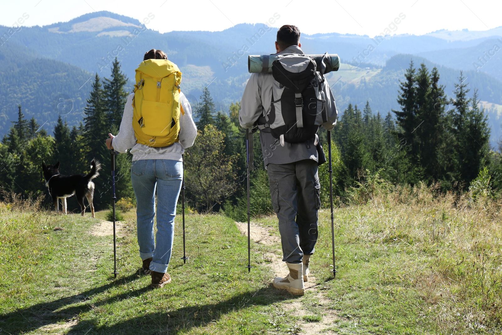 Photo of Couple with backpacks and trekking poles hiking in mountains, back view