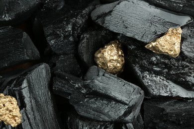 Shiny gold nuggets on coal, top view