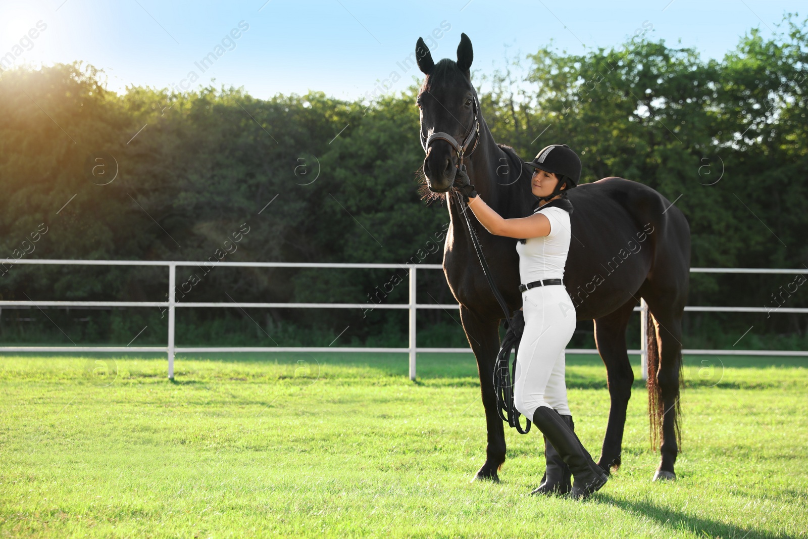 Photo of Young woman in horse riding suit and her beautiful pet outdoors on sunny day