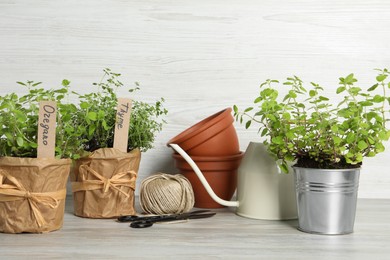 Photo of Different aromatic potted herbs, watering can, scissors and woolen yarn on light wooden table