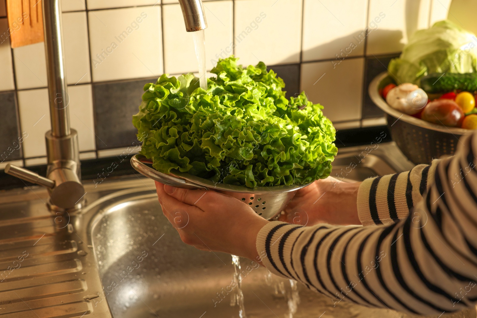 Photo of Woman washing fresh lettuce leaves in metal colander, closeup