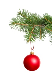 Photo of Red Christmas ball hanging on fir tree branch against white background