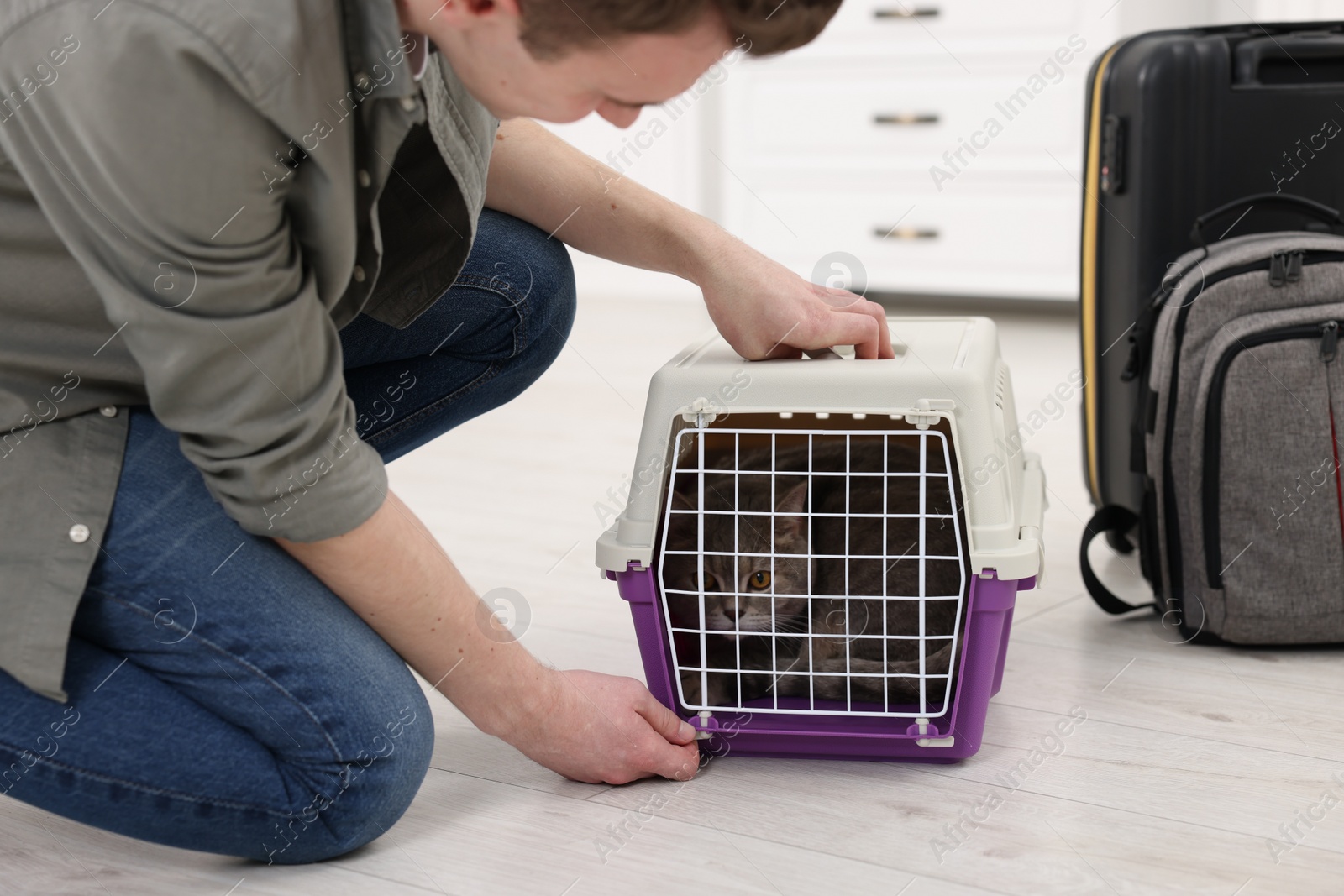 Photo of Travel with pet. Man closing carrier with cat indoors, closeup