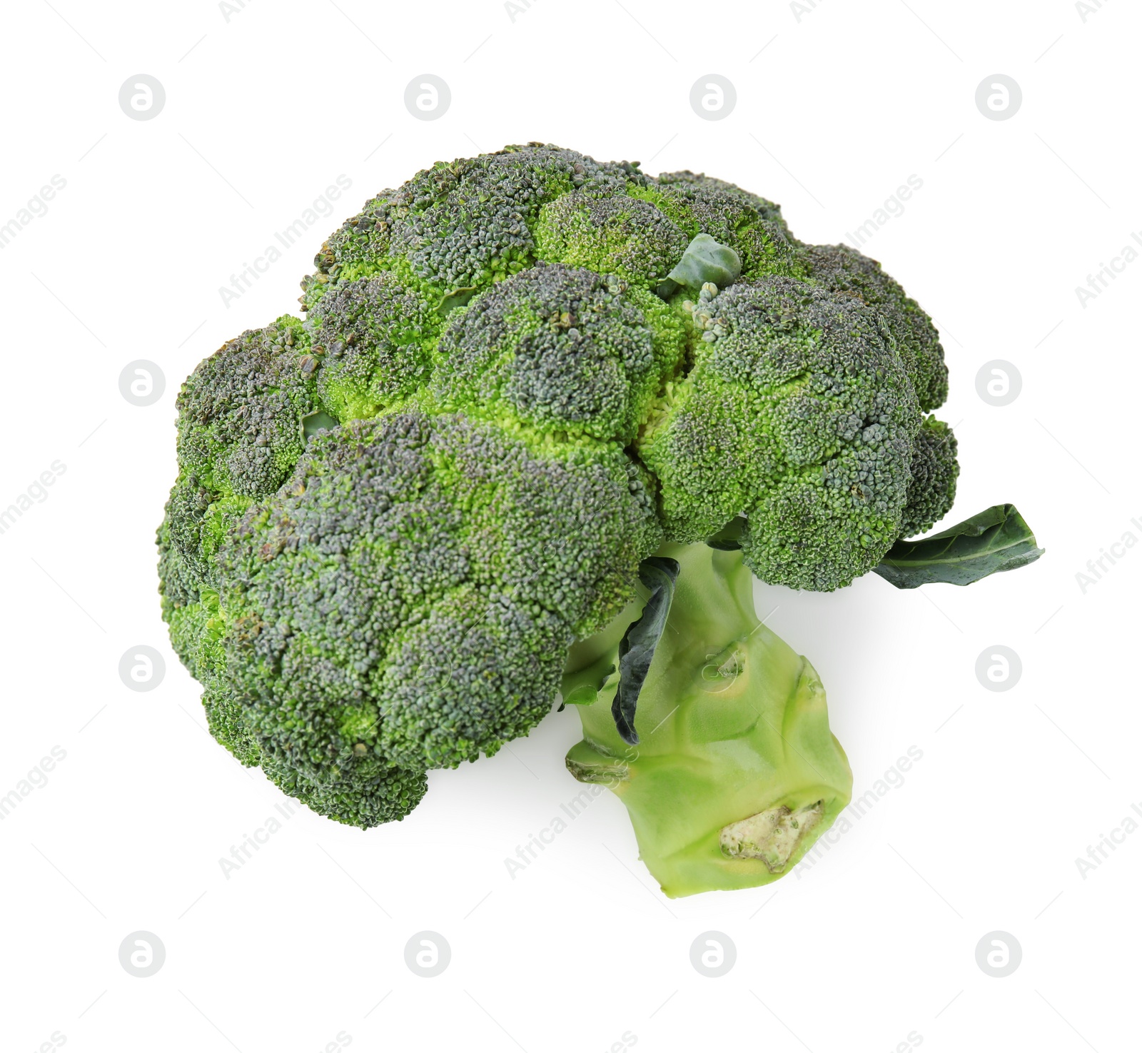 Photo of Fresh raw green broccoli isolated on white