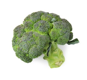 Photo of Fresh raw green broccoli isolated on white