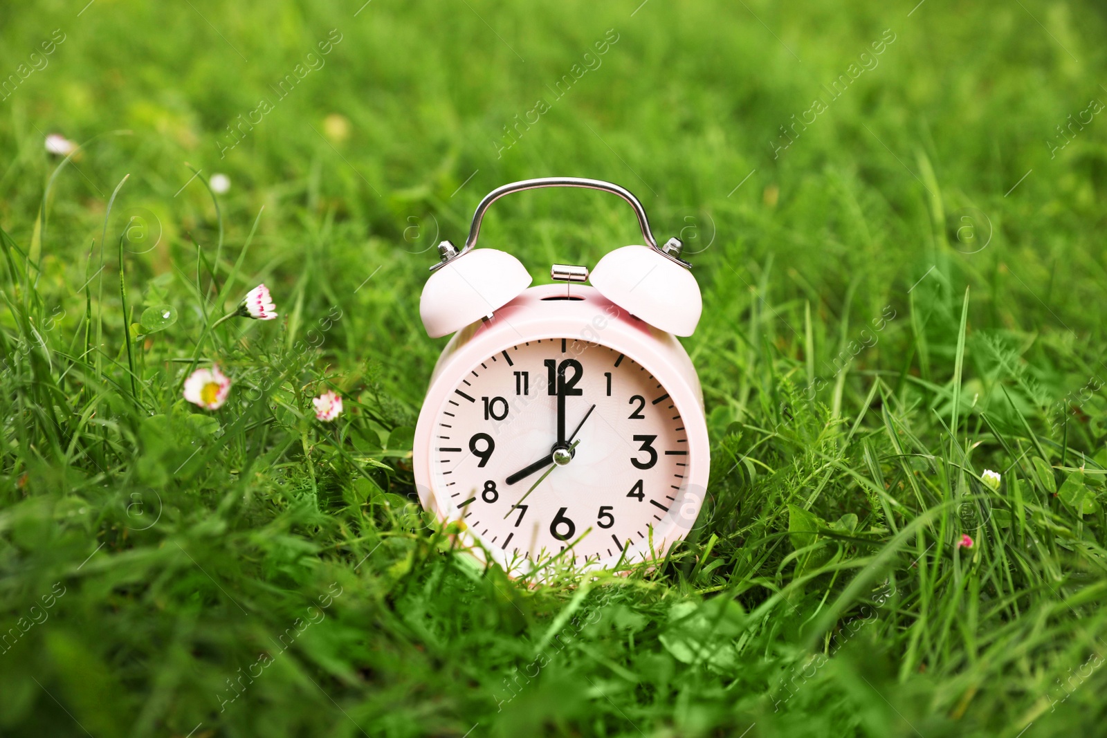 Photo of Pink alarm clock on green grass outdoors