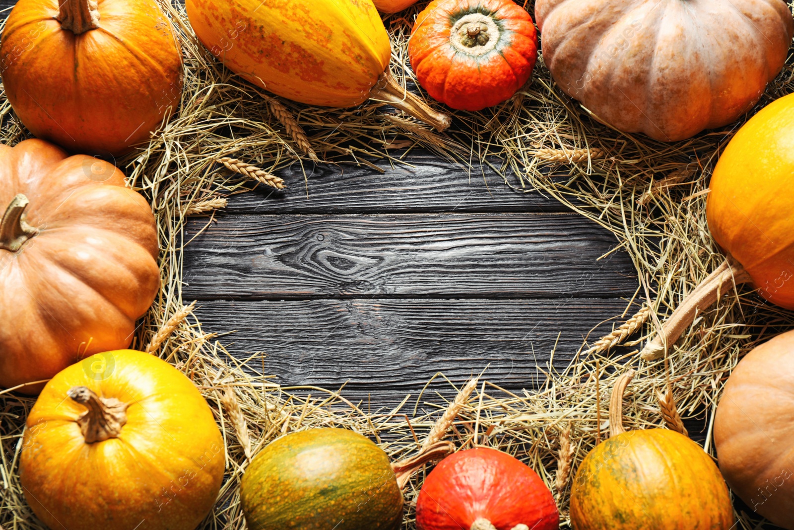 Photo of Flat lay composition with different ripe pumpkins on wooden background, space for text. Holiday decoration