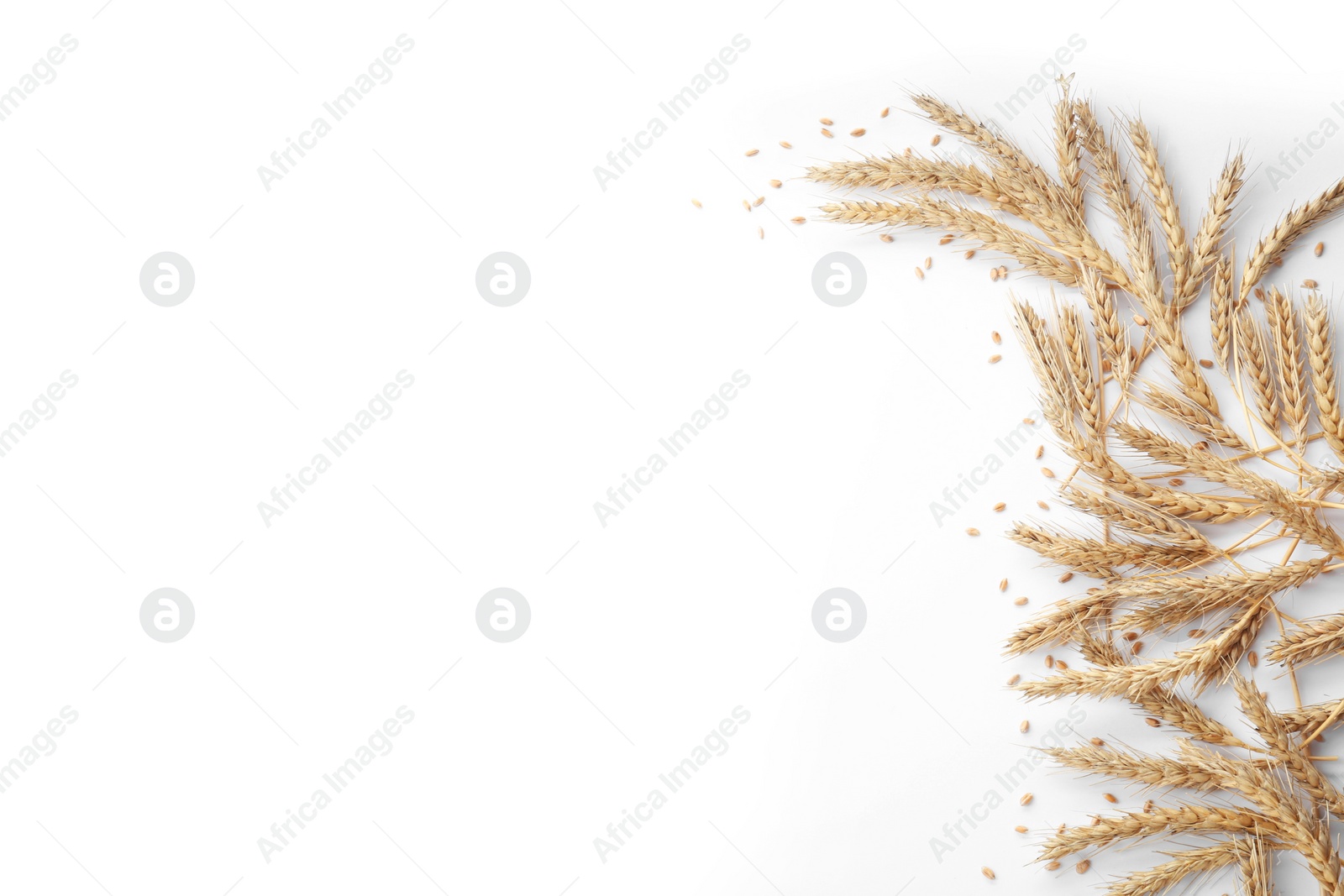 Photo of Many ears of wheat and grains on white background, flat lay. Space for text