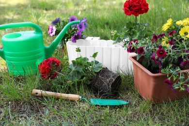 Photo of Beautiful flowers in pots, watering can and trowel on grass in garden