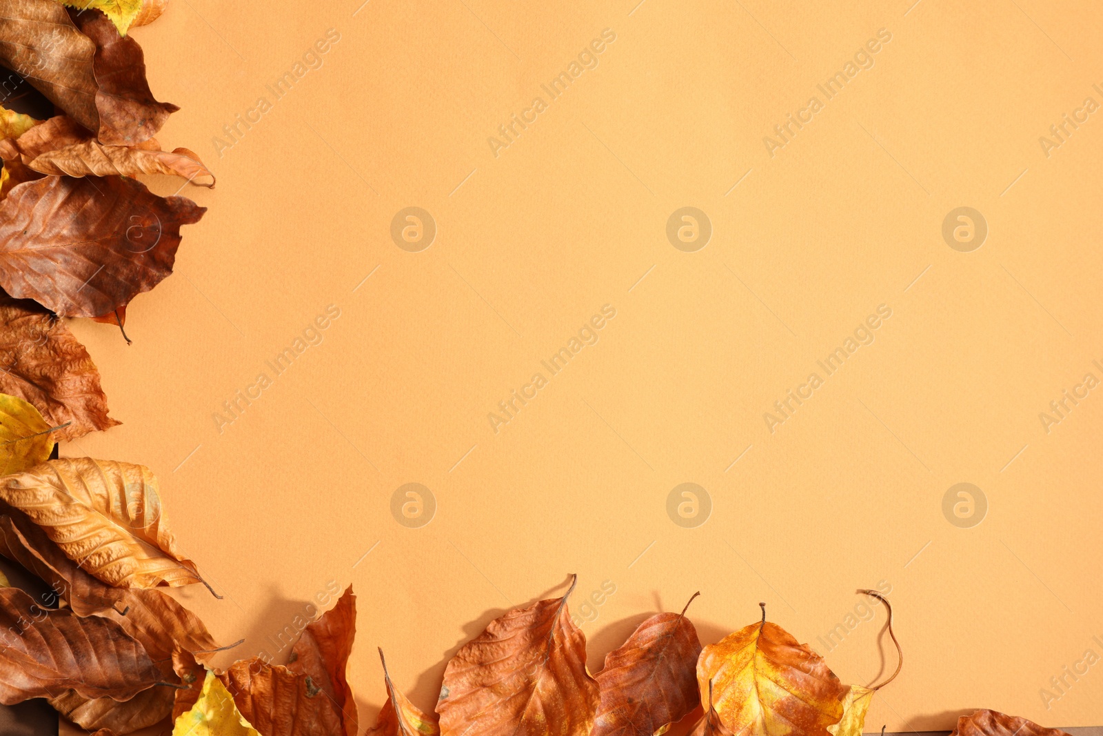 Photo of Dry autumn leaves on pale orange background, top view. Space for text