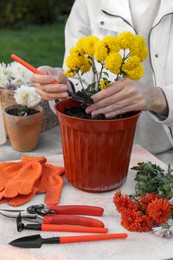 Photo of Woman transplanting flowers into pot at table outdoors, closeup