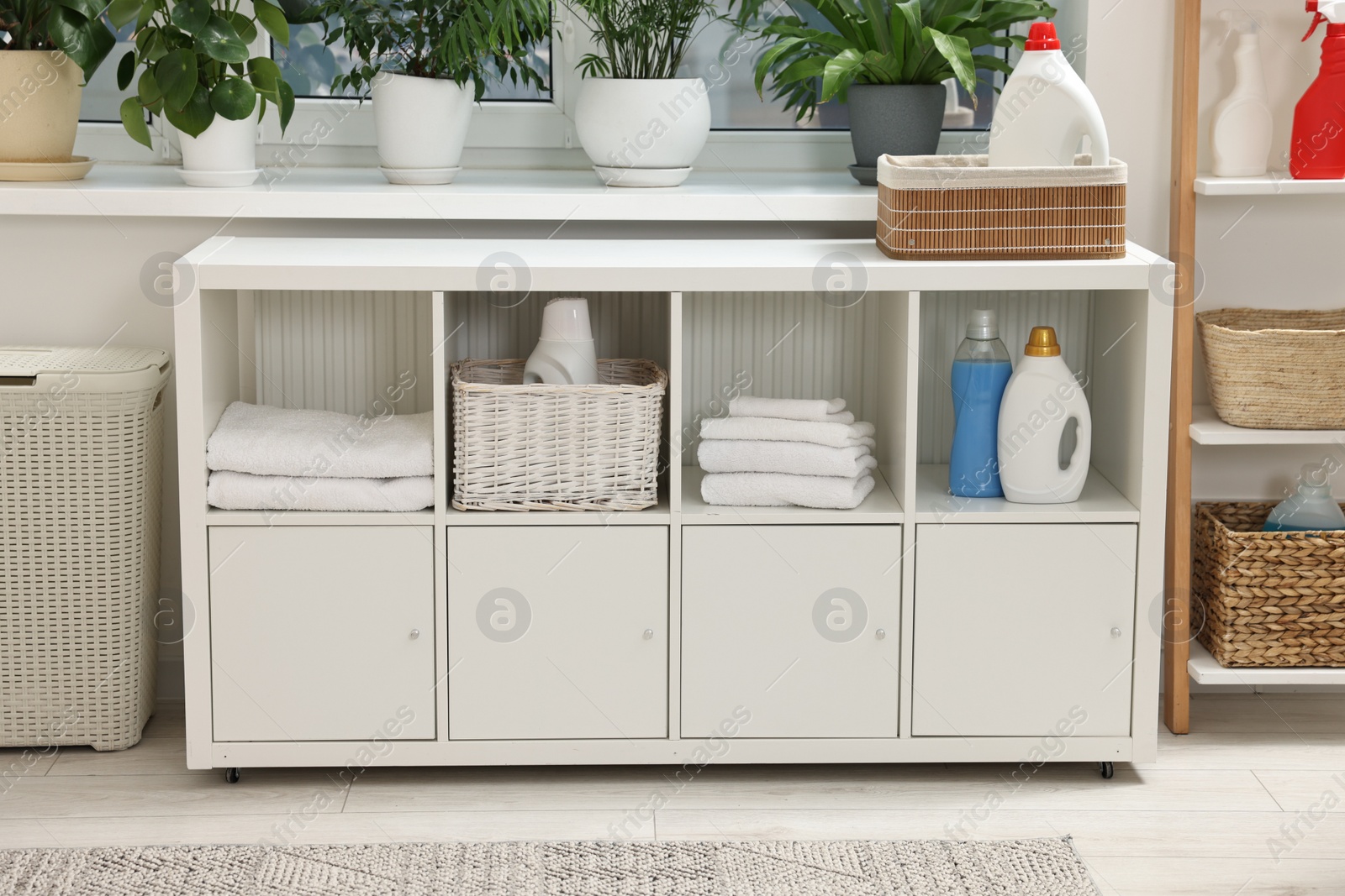 Photo of Laundry room interior with detergents and furniture