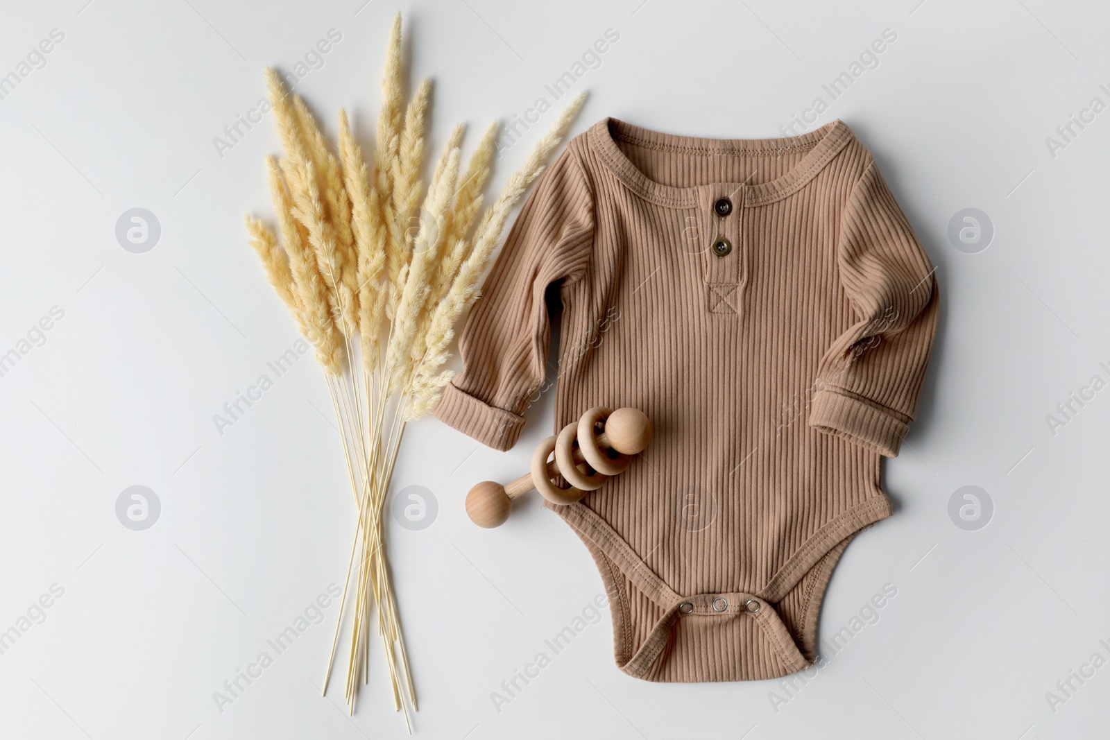 Photo of Baby bodysuit, toy and spikelets on white background, top view