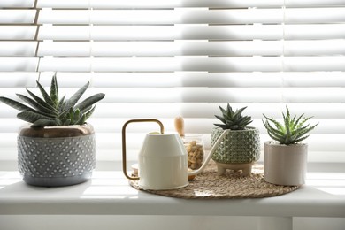 Photo of Many beautiful potted plants and watering can on windowsill. Floral house decor