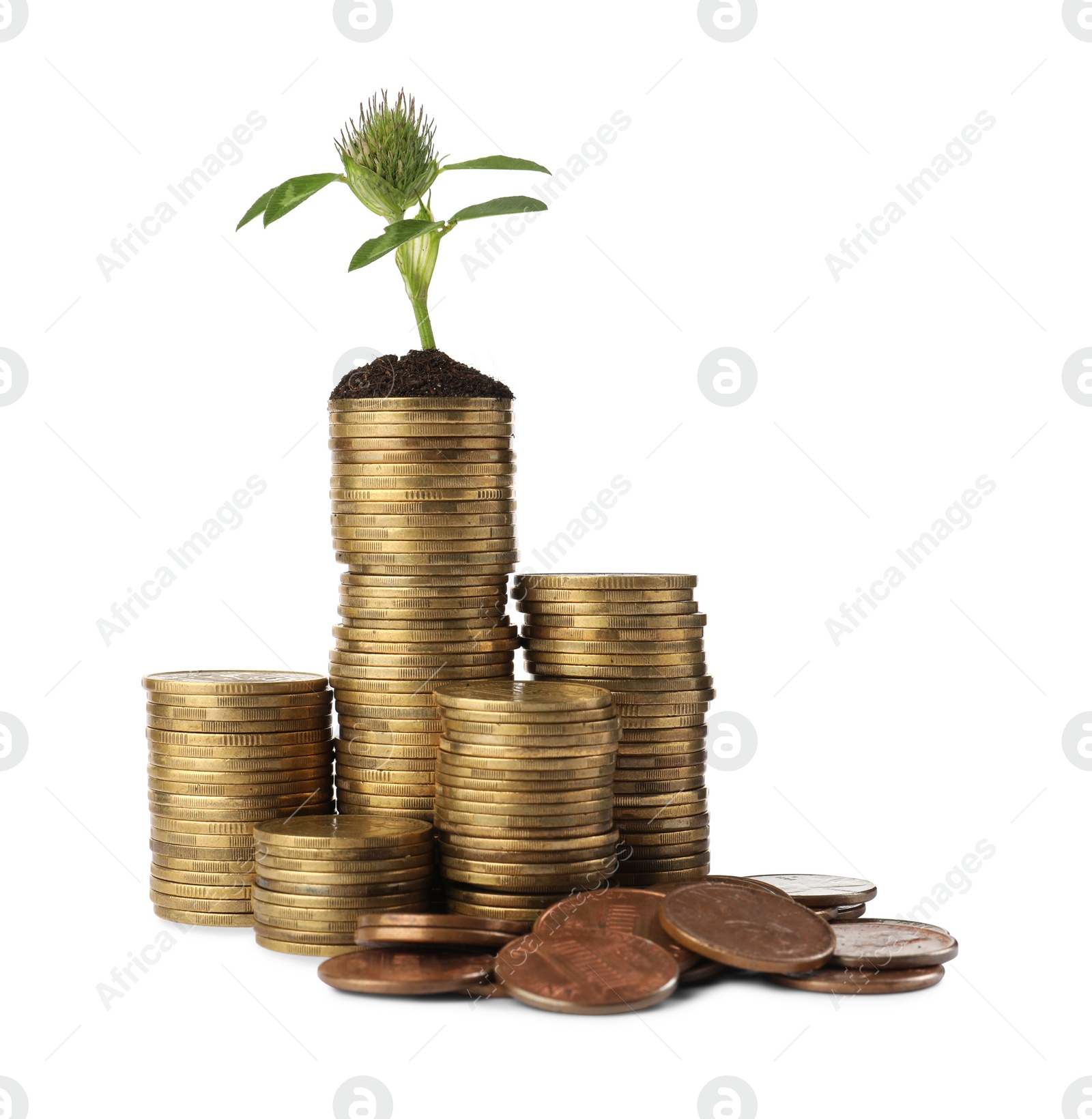 Photo of Stacks of coins with flower isolated on white. Investment concept