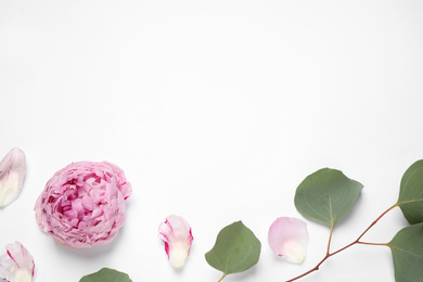 Photo of Beautiful floral composition with peony on white background, flat lay. Space for text