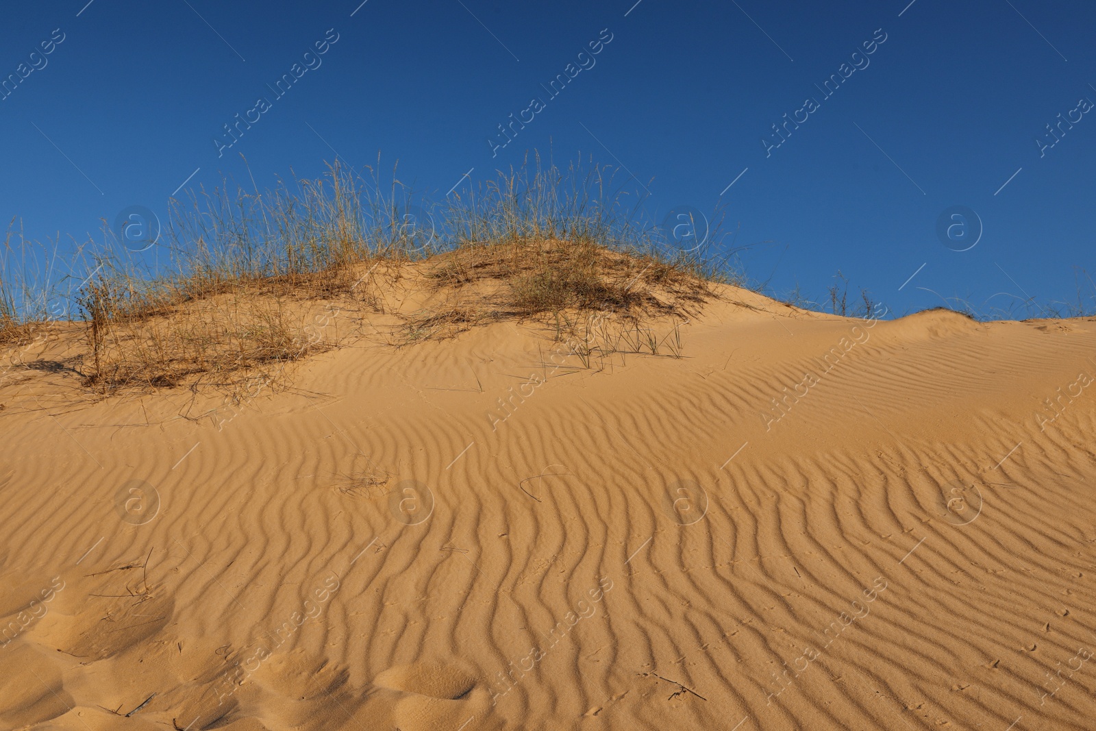 Photo of Picturesque view of desert on sunny day