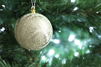 Photo of Beautiful holiday bauble hanging on Christmas tree, closeup