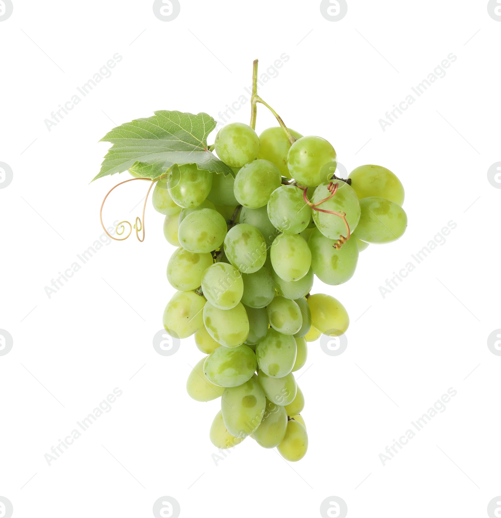 Photo of Fresh ripe grapes and leaf isolated on white