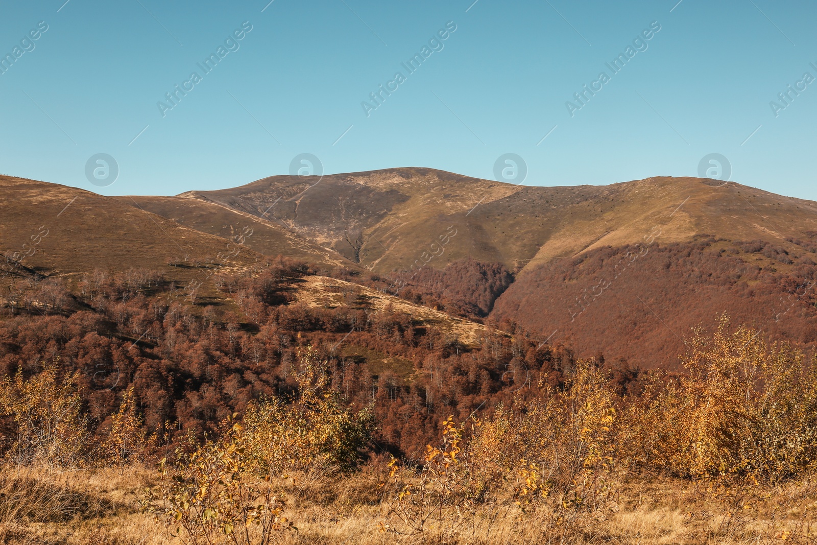 Photo of Beautiful mountain landscape with blue sky on sunny day