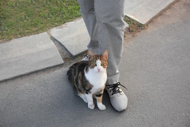 Cute cat rubbing against woman's legs outdoors. Homeless animal
