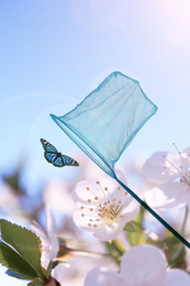 Bright net and beautiful butterfly against blossoming flowers outdoors on sunny day